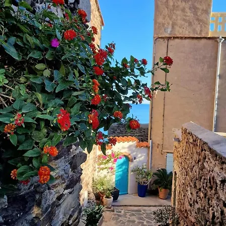 Apartment Superbe T2 Dans Le Quartier Des Peintres, Au Calme, Confort, A Deux Pas Des Plages, Clim Et Wifi