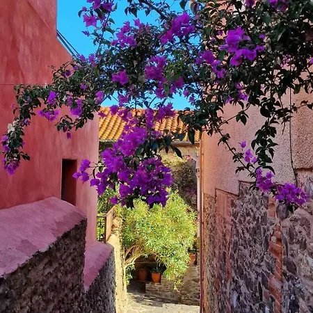 T2 Chaleureux Classe 4 Etoiles, Quartier Typique Au Calme, Plages Et Centre A 5 Minutes, Parking Prive Коллиур