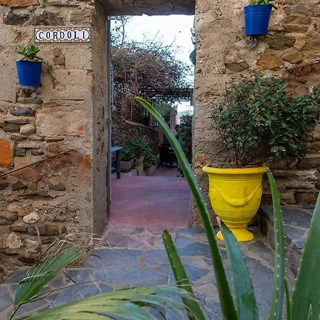 T2 Chaleureux Classe 4 Etoiles, Quartier Typique Au Calme, Plages Et Centre A 5 Minutes, Parking Prive