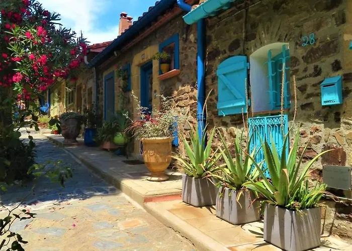 T2 Chaleureux Classe 4 Etoiles, Quartier Typique Au Calme, Plages Et Centre A 5 Minutes, Parking Prive Διαμέρισμα Κολιούρ